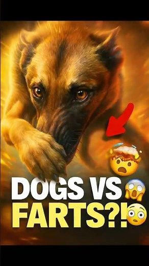 Dogs Reacting to Farts?! 😂💨 Funniest Reactions Ever!