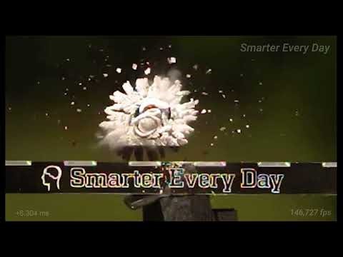 When Two Projectiles Collide | Ultra Slow Motion