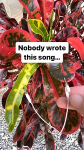 In fact, it might not be a song at all. It has no verse. No chorus. No lyrics. It is timeless and never repeating. It is continually evolving like nature itself. It is PlantWave. 🌿〰️ Learn more at PlantWave.com #plantwave #plantmusic #plantlover #science #synth | PlantWave