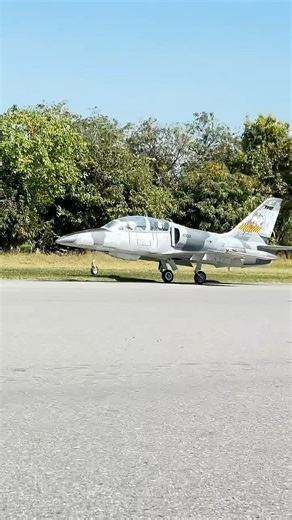 L39 Albatros Scale 1:3.5 #hobby #RCjet #RCPlane #INDYRC #l39albatros