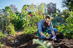 Urban farming: How to grow food in small spaces