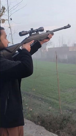 Ultimate Airgun Bird Hunting Video | Airgun Bird Hunting Silent Field Hunter