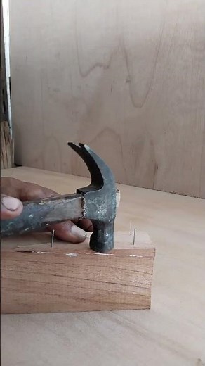The Simple Way to Repair Split Wood #woodworking #woodrepair #woodworkinghacks #sorts