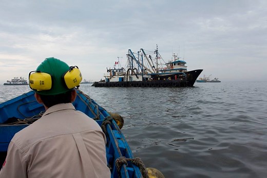 4.4K views · 135 reactions | Peru is home to one of the world’s largest single stock fishery – the anchoveta – a species related to anchovy used in fishmeal for livestock and aquaculture around the world. Its harvest touches many lives. Watch how reform of the anchoveta fisheries put a break on overfishing which was threatening the viability of a crucial resource. | World Bank | Facebook