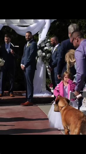Heartwarming Wedding Moment with Dog