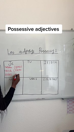 Understanding Possessive Adjectives in French: Mon, Ma, Mes