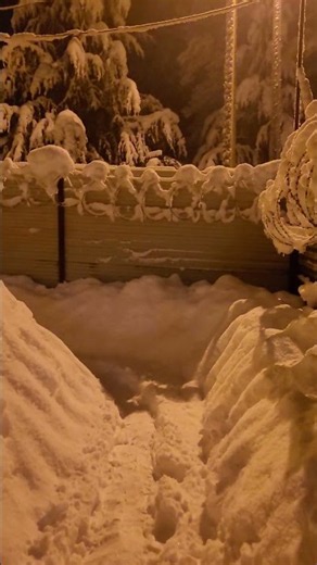 GOLDEN WINTER ❄️ #winter #snow #goldenwinter