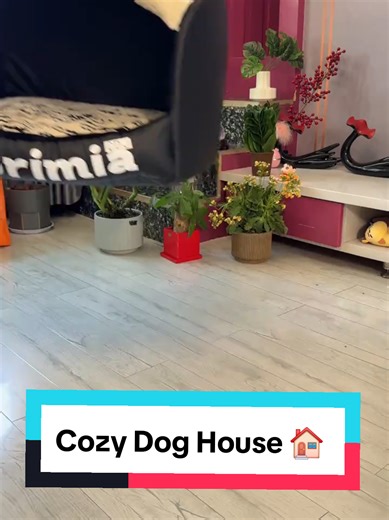 Cozy Dog House 🏠 #dogproducts #christmas #petstore #dogshop #petshop #petproducts #dogstore #doghouse