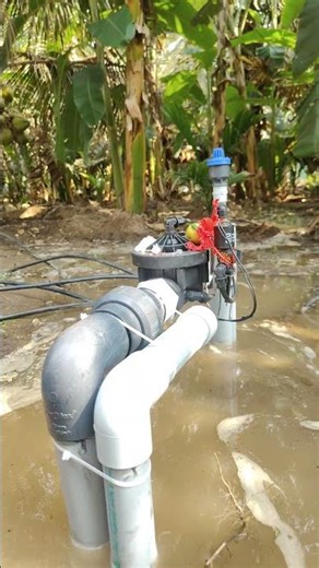 NIAGARA AUTOMATION CONTROLS AMS & CCTV CAMERA