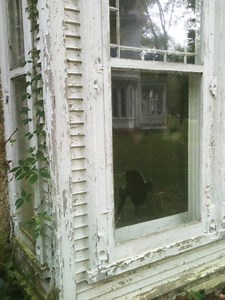 Waterloo, Part 3: Hypothetical History?