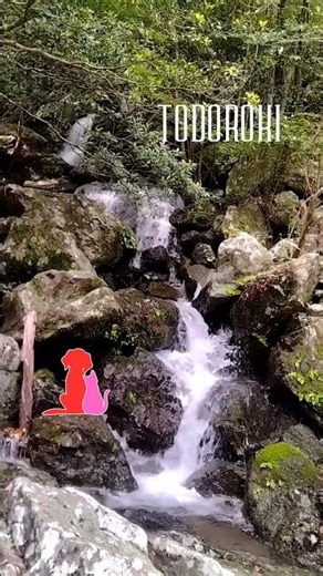 徳島県海陽町 小さな滝 轟 #徳島県 #海陽町 #轟 #海部川 #スピリチュアル