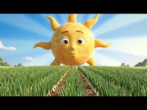 🧅 Onion Bulb – Proud – Harvest Time