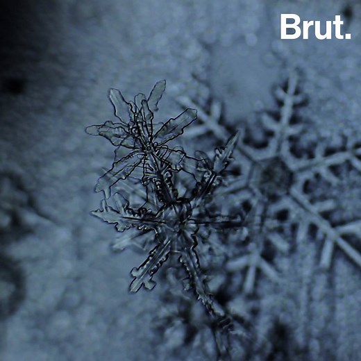 372K views · 1.8K reactions | Comment se forment les flocons de neige ? ❄️ | Brut nature FR | Facebook