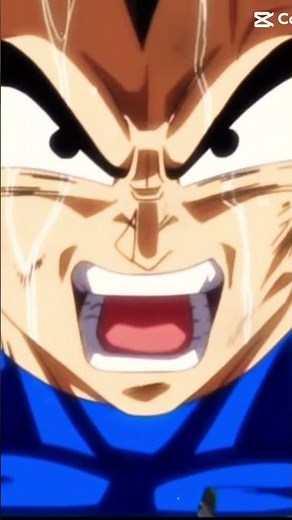 Vegeta rage #subscribe #edit #vegeta #screaming #supersaiyan blue￼