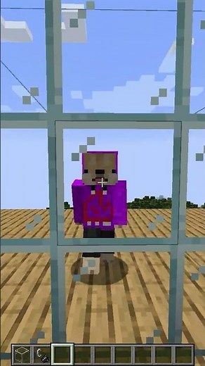 How to make a mirror in Minecraft with Immersive Portals!