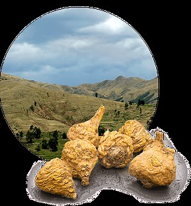 ¿Qué es Macafem? Ingredientes, nutrientes y más.