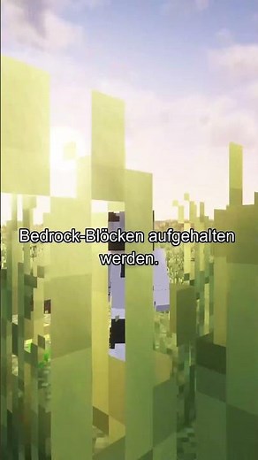 Wie richtig Diamanten farmen? #minecraft #minecrafttutorial #diamanten #diamond #gamerrausch #cool
