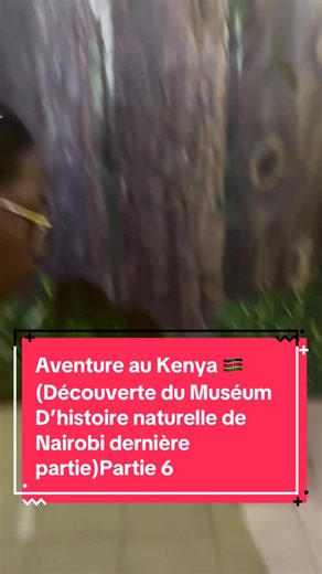 Exploring Nairobi's Natural History Museum: Kenya Adventure