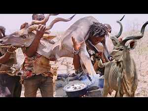 WILD KUDU HUNT (PART 1) : How Hadzabe Tribe Successfully Hunt Kudu in the Wilderness
