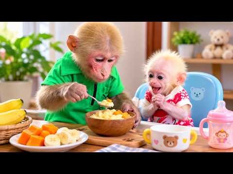 BiBi the monkey cooks special dishes for Lala when Dad is away.
