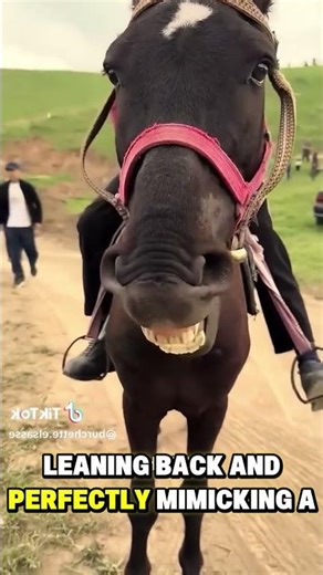 Animals imitating humans ... wholesome animal moments part 7