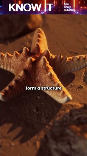 Why do some Animals Regenerate lost body parts?