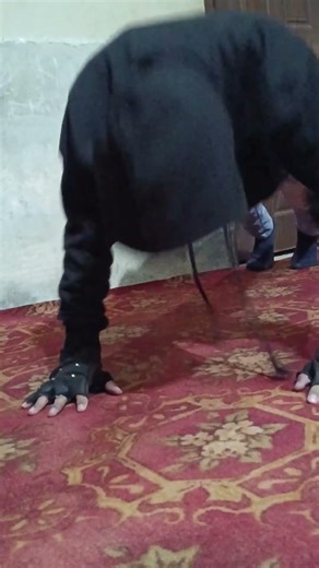 Day 39/365 Push-Ups Challenge 🔥