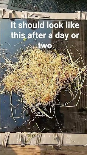 how to make diy bird nesting material