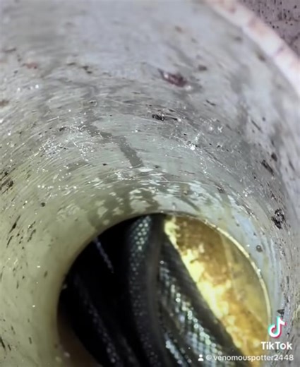 Just another normal busy day removing snakes. | Critters Of The World & Southern Outdoor Education