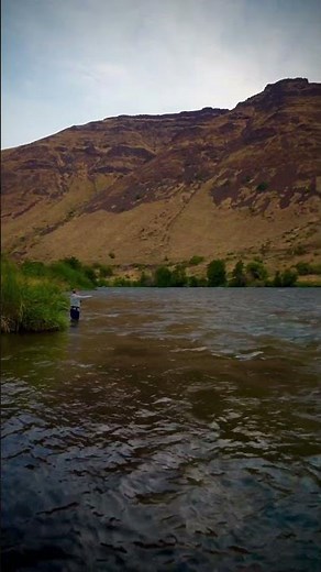 Spey Casting On The Deschutes River #flyfishing #shorts #outdoors