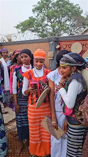 Exploring the Rich Traditions of Fulani Weddings