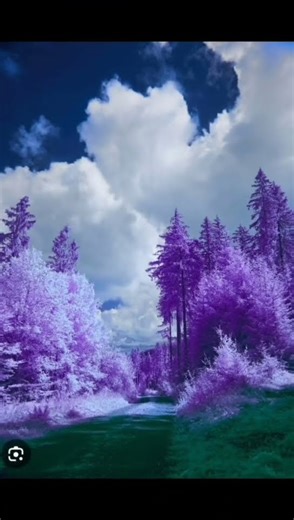 Hum pyar hai tumhare song