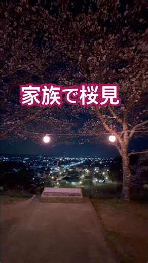 菊池公園、菊池神社 桜見散歩