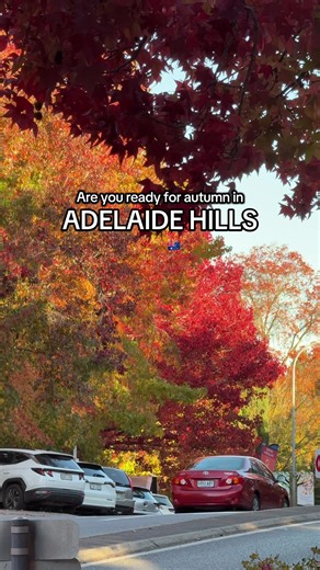 One month to go! #visitadelaide #adelaide #visitadelaidehills #autumn #autumnvibes