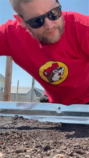 Learn how to plant beets and arugula in your garden! We're planting beets next to rainbow carrots and using a straight line technique. Discover how to create the perfect trench and avoid overcrowding. Get ready for a bountiful harvest with our simple gardening tips! #BeetPlanting #ArugulaPlanting #GardeningTips #VegetableGarden #RainbowCarrots #HomeGardening #GardenTutorial #GrowYourOwnFood #OrganicGardening #GardeningForBeginners | Matt The Garden Guy | Facebook