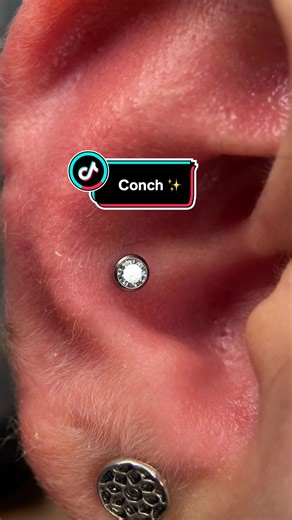 Perfuração de Conde com Ponto de Luz | Diário de uma Body Piercing