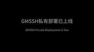 已上线私有部署版（GMSSH第三代服务运维管理工具）