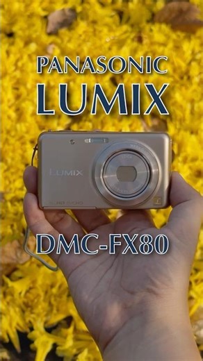 Panasonic Lumix DMC-FX80