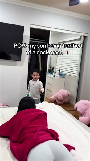 He’s terrified of them 😭 | adriel cockroach prank