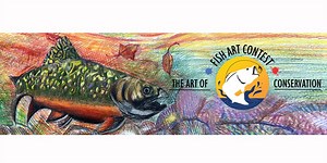 Vermont kids invited to compete in student fish art contest