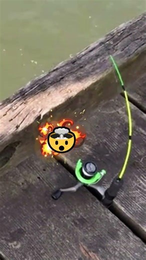 I Thought It Was a Joke... Until This Happened! 🎣😱 #fishing #shorts
