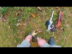 Fast And Easy Way To Clean A Squirrel