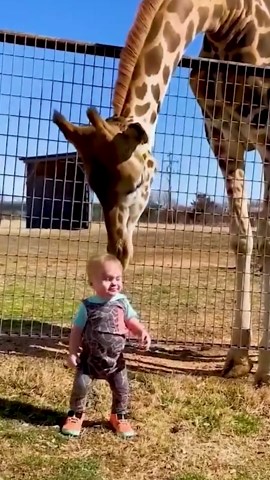 Smart and Playful Moments with Adorable Animals