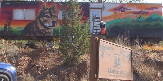 2 wolf dogs found dead in Colorado, family searching for answers