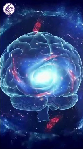 440L 480R | Boost Short-Term Memory & Concentration | Enhance Focus & Cognitive Function