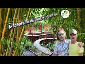 Découverte de 26 jardins innovants magnifiques