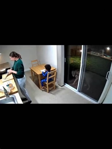 Unexpected Encounter Behind the Kitchen Door