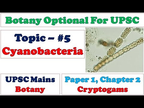 Structure and Reproduction in Cyanobacteria: Blue Green Algae: Prokaryotic Photosynthetic Bacteria