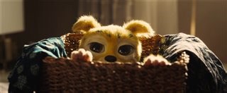 MARSUPILAMI - bande-annonce Trailer | Movie Trailers