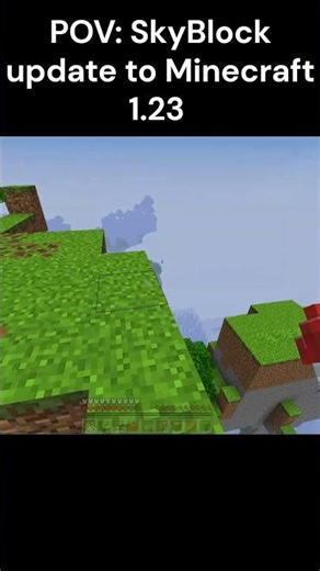 SkyBlock update moment 💀 #minecraft #shorts